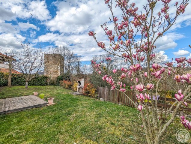 31G101056-a3b6a122044c47499569bcb508fc2676