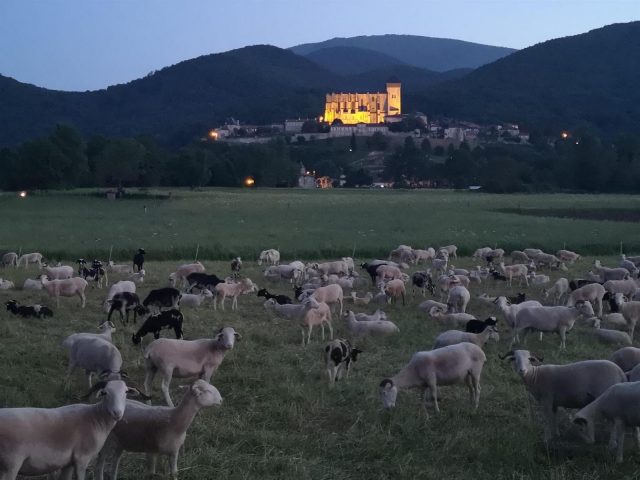 31G101056-aad632271f74434cb54aaf58abba4b64