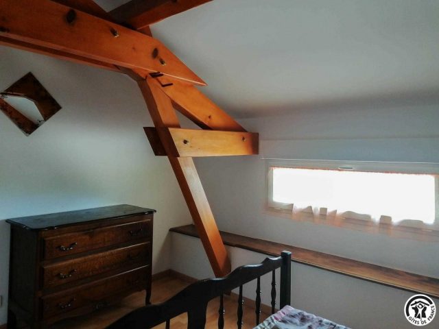 31G101082-847f9058ae17421cb5e11767304308b1