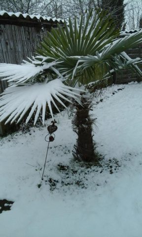 31G101092-2a21ead01a6a45d796436c365915d415