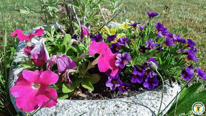 31G101092-558bb4e0245e46ccbbdd13ad396c2b97