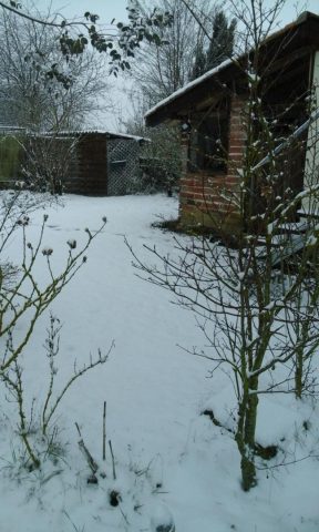 31G101092-5f2f18ece65246218f6a49fe2bfb885f