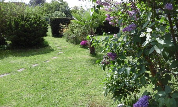 31G101092-c6668a81715644f887f9492d83d813c5