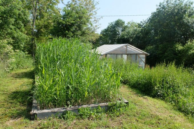 31G101102-2ecec17200e64c309b702d698876b1bd