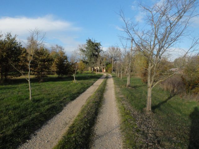 31G101102-76fea6ea18a54c45af4e3a3a2b9d7ad8