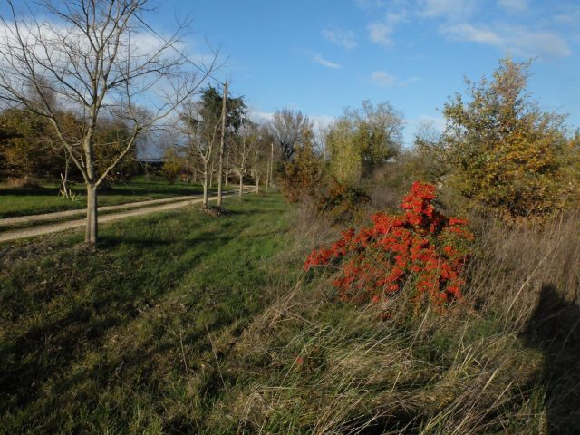 31G101102-81bcb1fd20e7455f9f07719b9c3b5b15