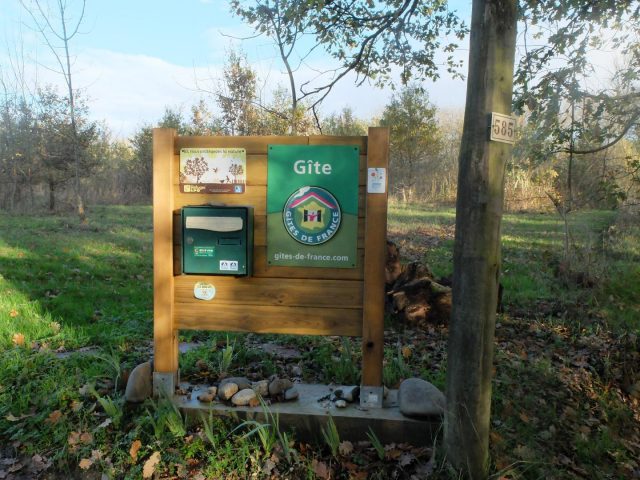 31G101102-8f450ba8d34c434ea59f8e3d0b1eb7bb