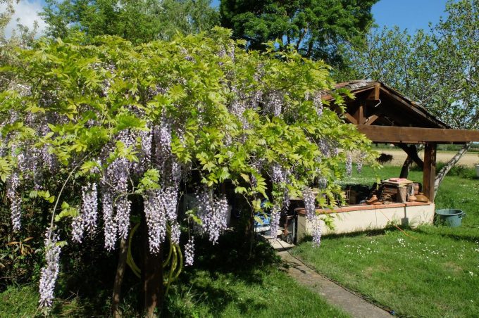 31G101102-99433e98cf6847588bc49fa090f538f2