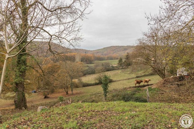 31G101116-3ecaace0f6e14992911ed70c118281a8