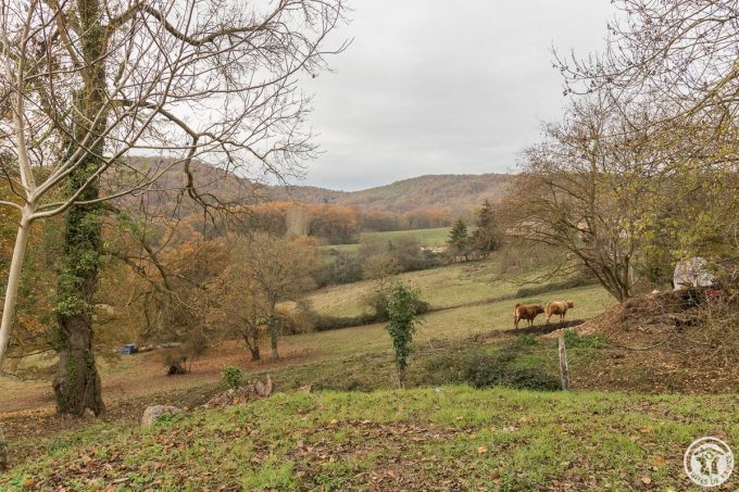 31G101116-59cdf2bc3fb74384ace227b7d19955f2