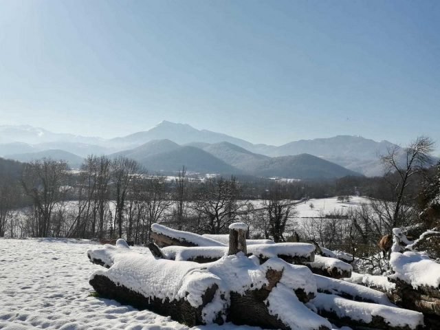 31G101116-75197b72bd044cd6877f3199e874111f