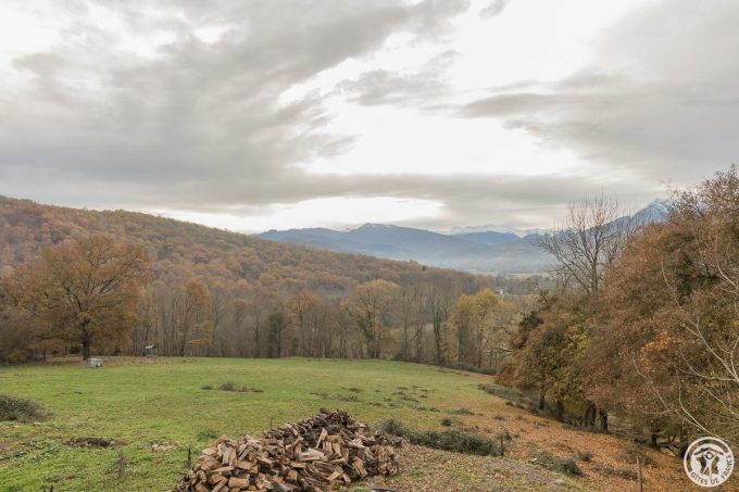 31G101116-77be1640866342f09d94f85a0718f714