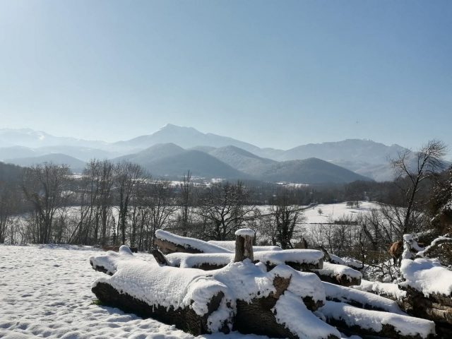 31G101116-a8fe7b45e7b94e2eabd738cab1b11b4c