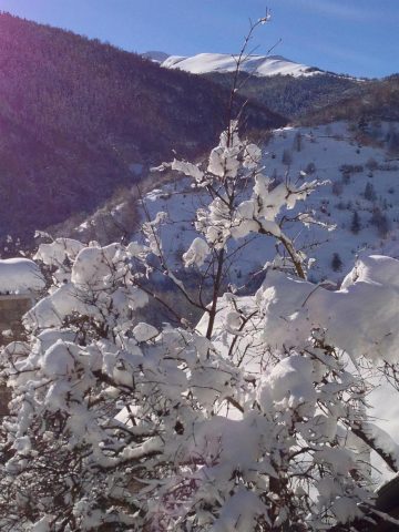 31G101117-6794e6041dc748068e888932020b96a7