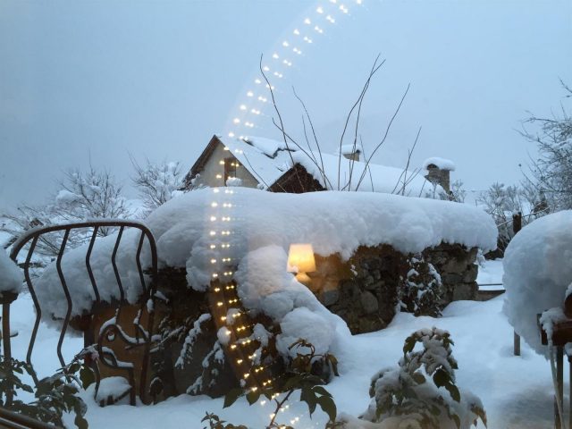 31G101117-d6bdf9b6f86743cabc3682efd8e3ca01