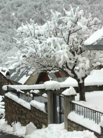 31G101140-4982e1101475492d9a146342f61168bb