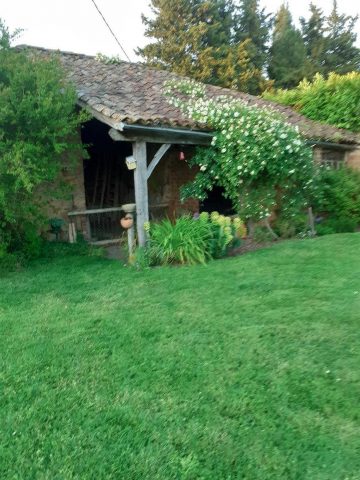 31G101170-2f5a7cb3d5da47a89826b95e270f3648