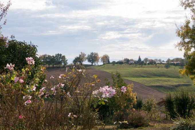 31G101170-3de98f98ae1048b391a23083ab8615ba