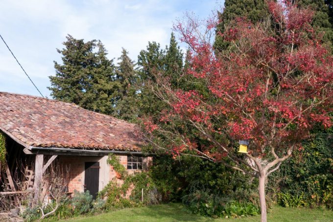 31G101170-58006e9e83404065a2609392c056b740