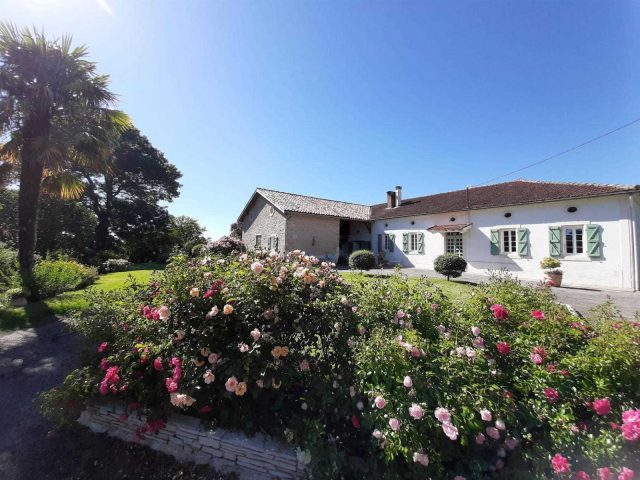 31G101170-92d107e8f14f488d990e97a0d26ac523