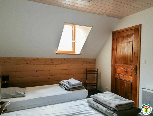 31G101175-c9f7e32cde2e499388483a52e765e85e