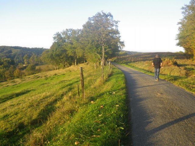 31G101201-0568f9346f0b4c42804ebab37cb4f4d0