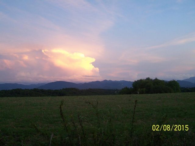 31G101201-0bd28bf1752a4574ad6cdf8abf652368