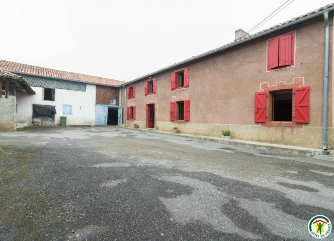 31G101201-1fdfc70d4eb44327a0c0b93f653bfe49