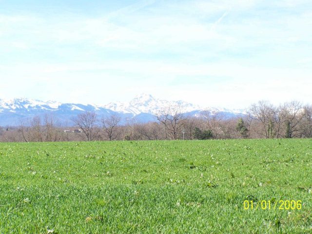 31G101201-210eff79803344a49274e606b50cf7b1