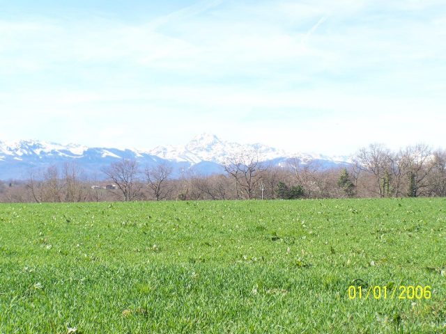 31G101201-26b870859cce4730ac866060f786181c