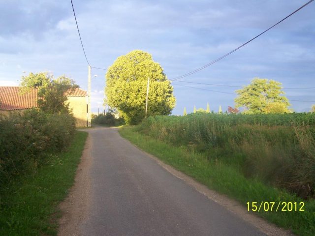 31G101201-295994585cd64c9cadb0aad7af98b912