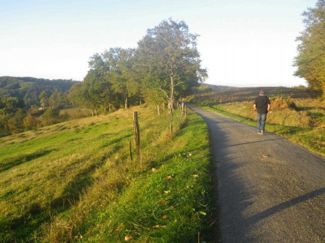 31G101201-2bf7072f8db140658e346f7d9f595b1f