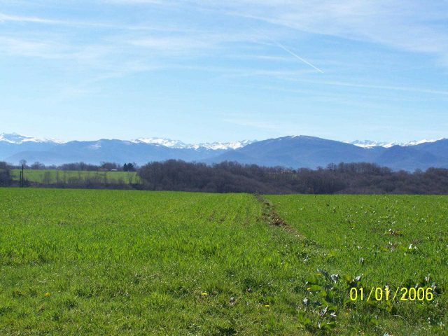 31G101201-37f7de87d44a4388aaa14068530be2cd