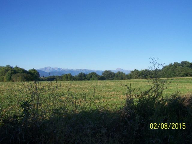 31G101201-ad0020530196411ebb907e979eb3f529