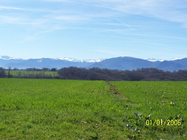 31G101201-e6e660ba289e4e3ea9cdf2fea2b85c50