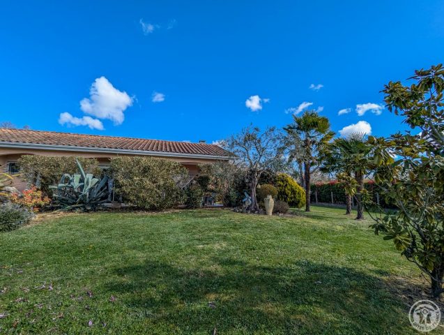 31G101202-011a95259a1e4c47a95cfda8ffc9533c