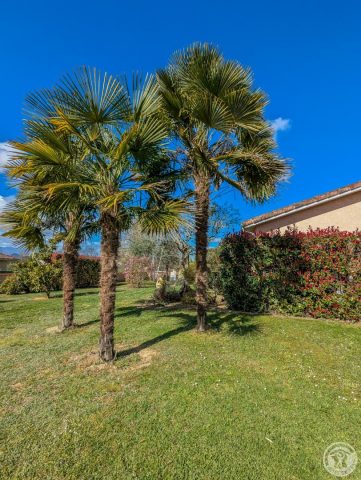 31G101202-2a92f2f46c0348cc90ef6c50bd50abe8