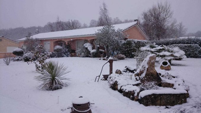 31G101202-39445fc9c8344c788816788d508085b8