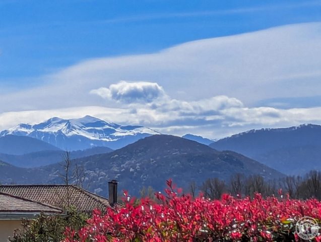 31G101202-5b14c5a4040e457baf0fcefeef5a1ad6