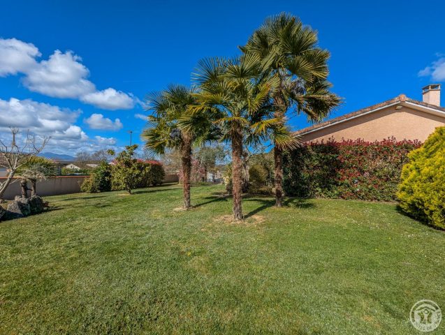 31G101202-69b974b275d7441490b4cd00e6bd2614