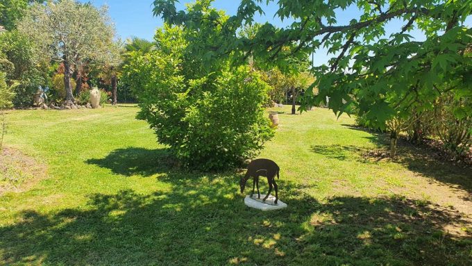 31G101202-74f9bb43b6ba4f229101b649062f2fc8