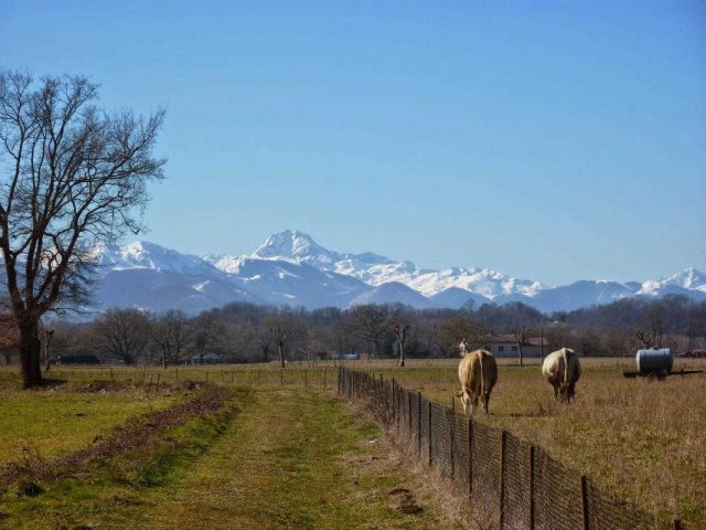 31G101202-77a00cd3977249069a86001f6195f9ad