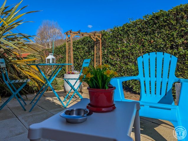 31G101202-a6d446e0008c4036896be7eba7635a93