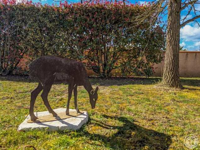 31G101202-bd87c8d721a4415a952fb7d99c4b0e43