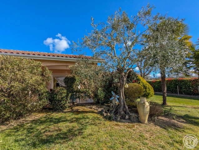 31G101202-be04d08e20d447749ed53a2f3515e05d