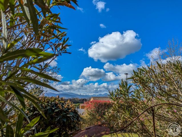 31G101202-c7f4e35a99074ece8fd82e284a423355