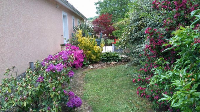 31G101202-dbbbacb69ad548859698903867fc305a