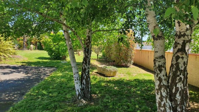 31G101202-edca4da4369a4d1b97b1b0d38e6df612