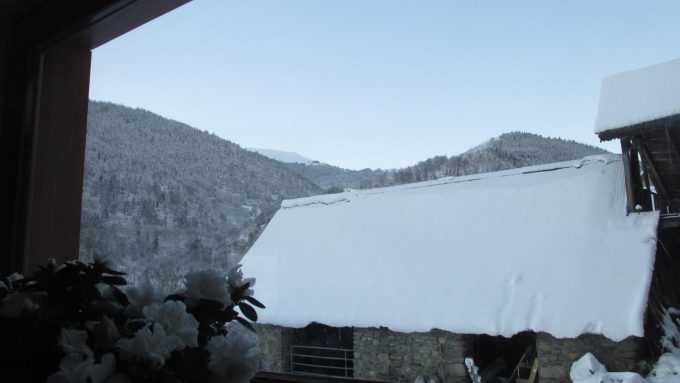 31G101218-3af60c0596344e409e88a1cd9d329fd9