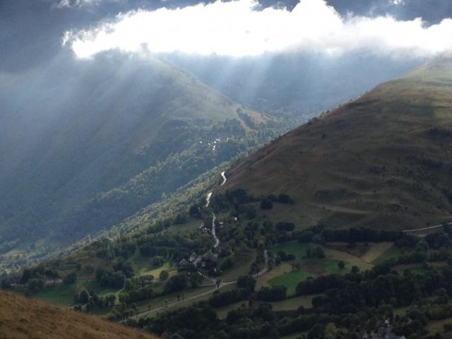 31G101247-3d4f2345e6f043689955b9a5028122f4